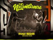 AUDIO | Dogo Elisha – Natamba Nae | Download Mp3