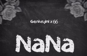 AUDIO | Geniusjini X66 – Nana | Download Mp3