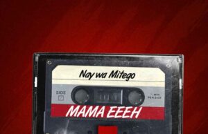 AUDIO | Nay Wa Mitego – Mama Eeeh | Download Mp3