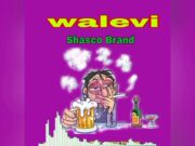 Music Audio | Shasco Brand_Walevi | Mp3 Download