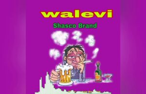 Music Audio | Shasco Brand_Walevi | Mp3 Download