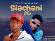 AUDIO | Stizo Ft Mdogo Sajent – Siachani Nae | Download Mp3