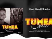 Music Audio | Mudy Msanii Ft D Voice – Tumeachana | Mp3 Download