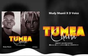 Music Audio | Mudy Msanii Ft D Voice – Tumeachana | Mp3 Download