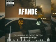 Dillu love Ft Dogo Pateni – Afande Remix