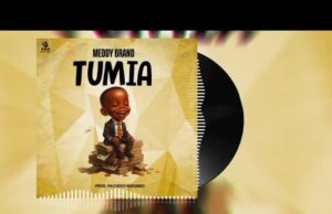 Music Audio | Meddy Brand – Tumia | Mp3 Download