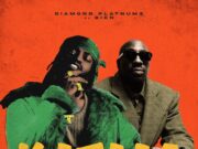 Diamond Platnumz Ft Bien – Katam