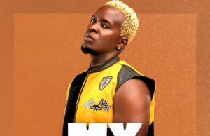 Willy Paul – My Lady