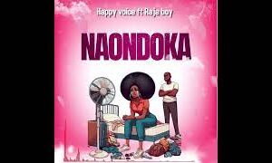 Happyvoice Ft Raja boy – Naondoka
