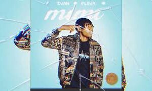 2van Fleva – Mimi