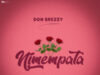 Don Breezy – Nimempata