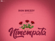 Don Breezy – Nimempata