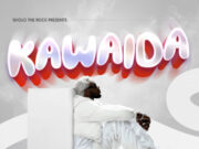 Sholo Mwamba – Kawaida