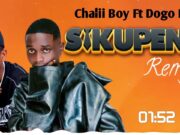 Sikupendi Remix (Nakupenda)