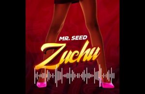 Mr Seed – Zuchu