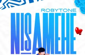 Robytone – Nisamehe