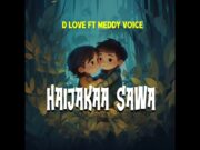 D Love Ft Meddy Voice – Hali Haijaka Sawa