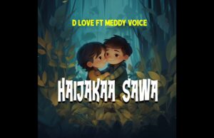 D Love Ft Meddy Voice – Hali Haijaka Sawa
