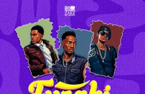 Chembe Ze Don Ft Mczo Morfan & Malume – Furahi Remix