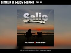 Palu Simela Ft Muddy Msanii – Salio