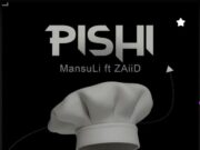MansuLi Ft ZaiiD – Pishi