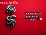 Msomali feat Mr Blue – Wewe Hapo