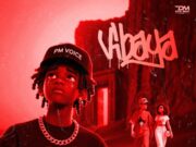 Pm Voice – Vibaya